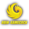 ค่ายเกม 119